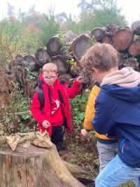Ausflug in den Wald